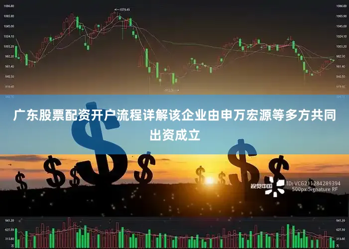 广东股票配资开户流程详解该企业由申万宏源等多方共同出资成立