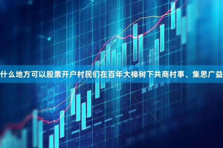 什么地方可以股票开户村民们在百年大樟树下共商村事、集思广益