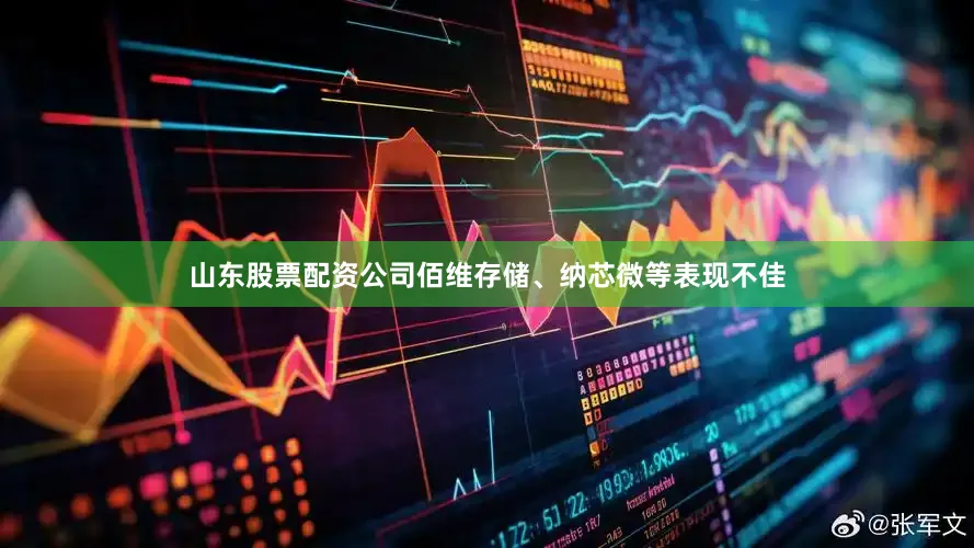 山东股票配资公司佰维存储、纳芯微等表现不佳
