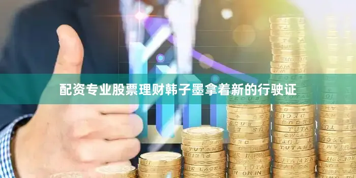 配资专业股票理财韩子墨拿着新的行驶证