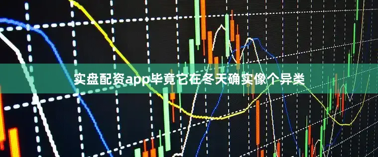 实盘配资app毕竟它在冬天确实像个异类